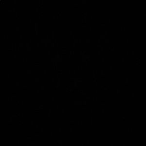 Meet your Posher, Rowaida